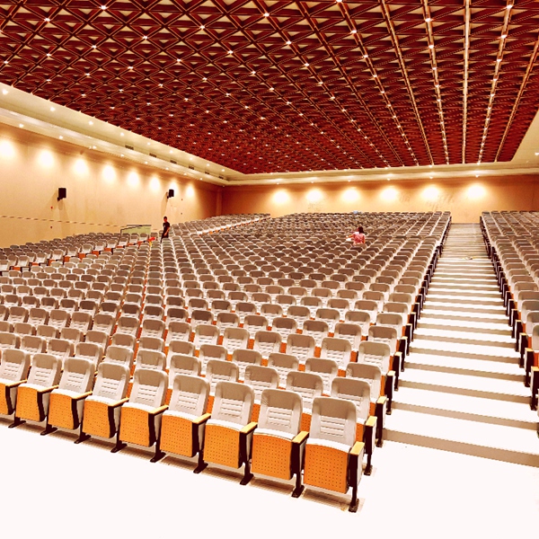 Auditorium/Conference Hall Chair