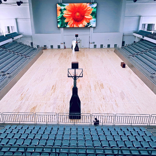 Telescopic Bleacher with Folding Seats (Basketball Court)